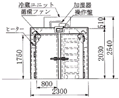 中型 立面図